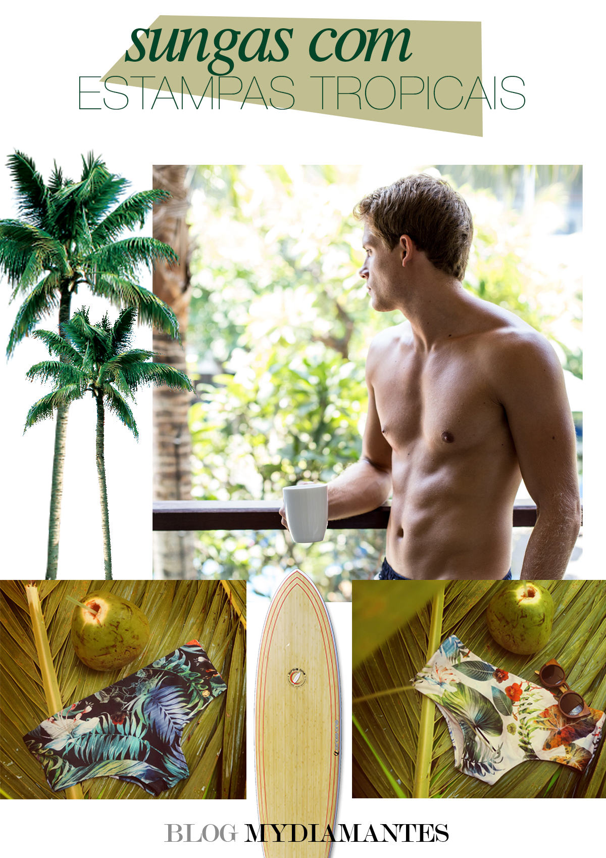 sungas-tropicais